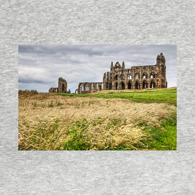 Whitby Abbey Yorkshire, UK, Side View by tommysphotos